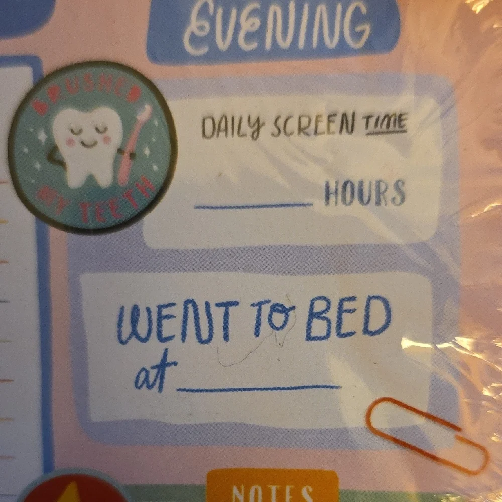 Colorful and FUN Adulting Planner Pad (New)